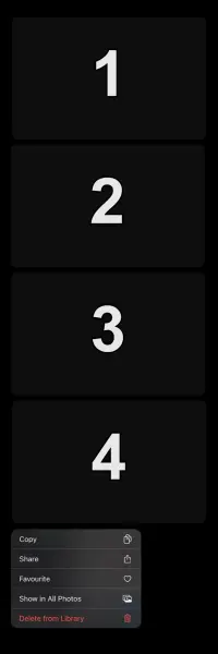 🖤 Photo Options (Dark)